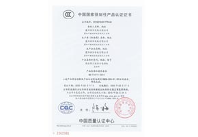 YE2-高效3C認(rèn)證書